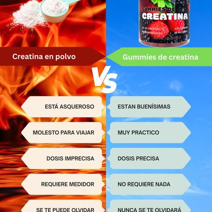 Comparativa gummies creatina vs polvo ventajas formato masticable fácil tomar
