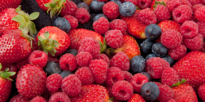 <h5><span style="text-decoration:underline">Novedades</span></h5><h2><span style="text-decoration:underline"><strong>Frutas del Bosque</strong></span></h2><p>Descubre nuestro nuevo sabor de frutas del bosque</p>